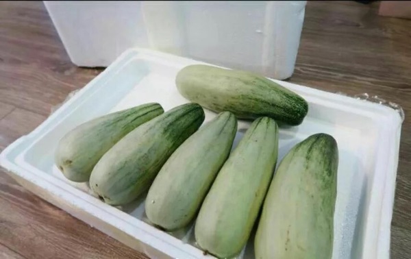 探索瓜界新潮流，最新瓜品种一网打尽！