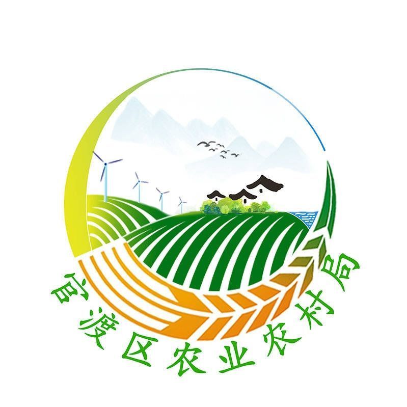 多隆村最新日常，友情与陪伴的温馨时光