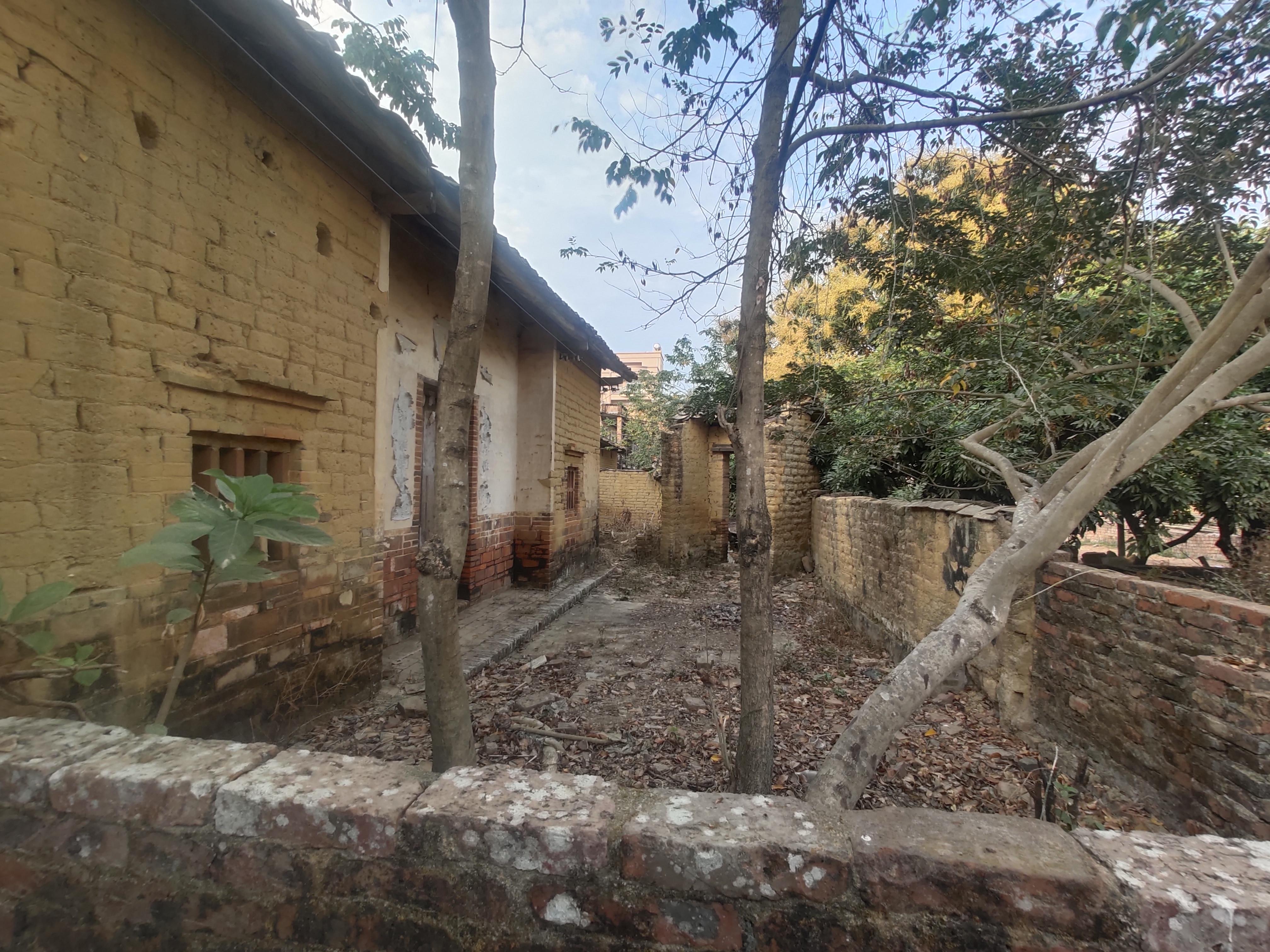 化州最新冠，自然美景的探索之旅