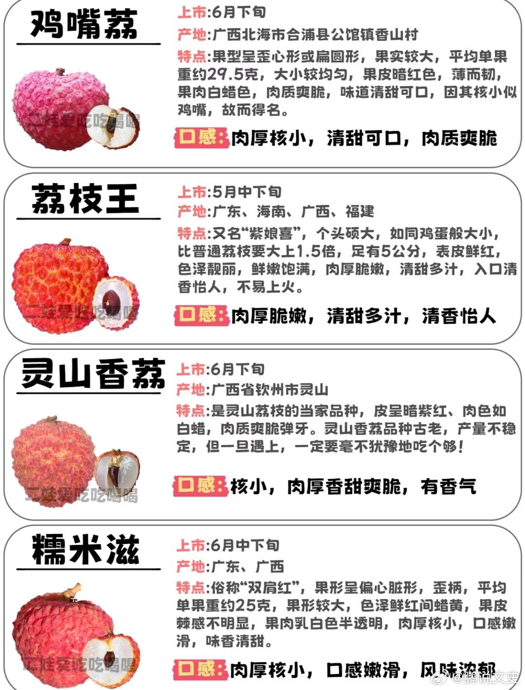 最新荔枝商机，开启一场寻找内心平静的荔枝之旅