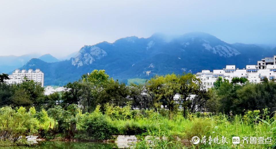 小雨清晨最新，学习、改变与自我实现的鼓舞之旅启程